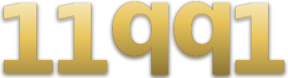 11qq1 logo